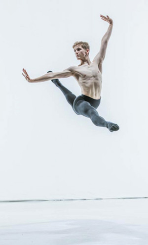 Laurence Elliot, Polish National Ballet Company